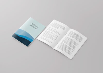 NOVEL